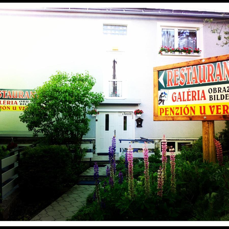 Penzion U Veroniky Zdiar Exterior photo